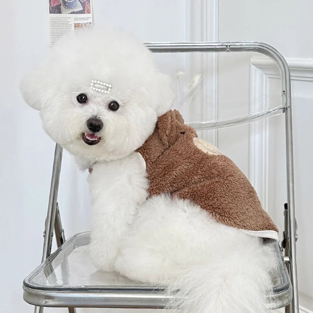 Manteau nounours - Miaou Wouf Family