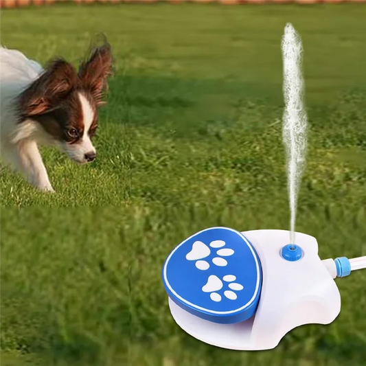 Fontaine à Eau Interactive pour Chien - Activée par Pédale - Jeu et Hydratation