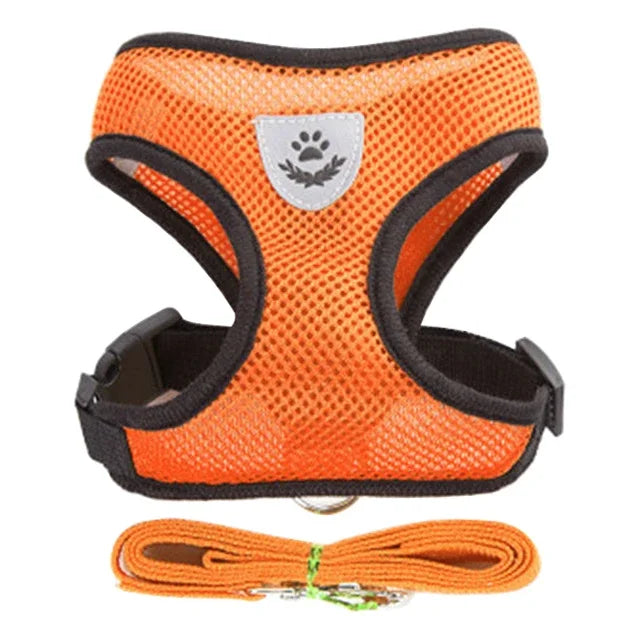 Harnais, respirant, orange
