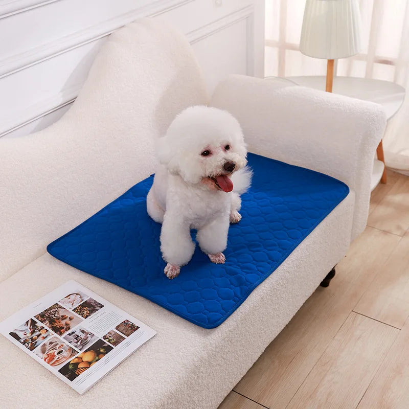 Dog Pee Pad Blanket Reusable Absorbent Diaper Washable Puppy Training Pad Pet Bed Urine Mat for Pet Car Seat Cover Pet Supplies - Miaou Wouf Family