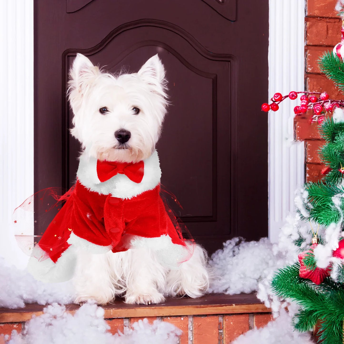 Costume de Noël pour Chien - Robe Père Noël avec Nœud - Déguisement Festif Chaud pour Chiot
