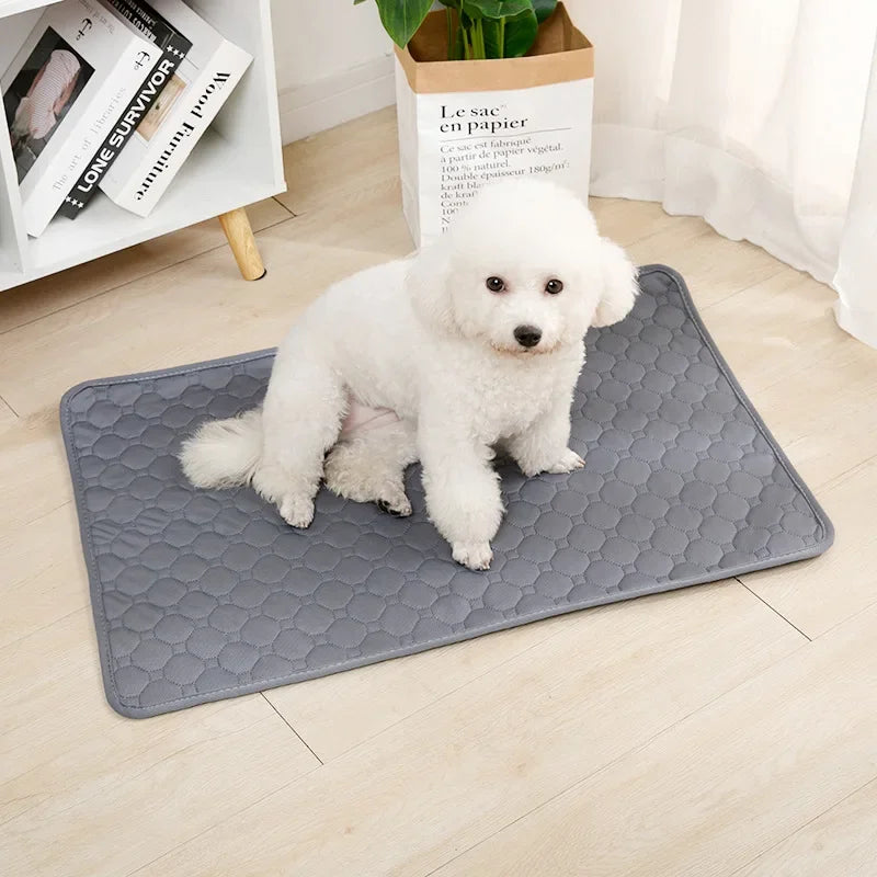 Dog Pee Pad Blanket Reusable Absorbent Diaper Washable Puppy Training Pad Pet Bed Urine Mat for Pet Car Seat Cover Pet Supplies - Miaou Wouf Family
