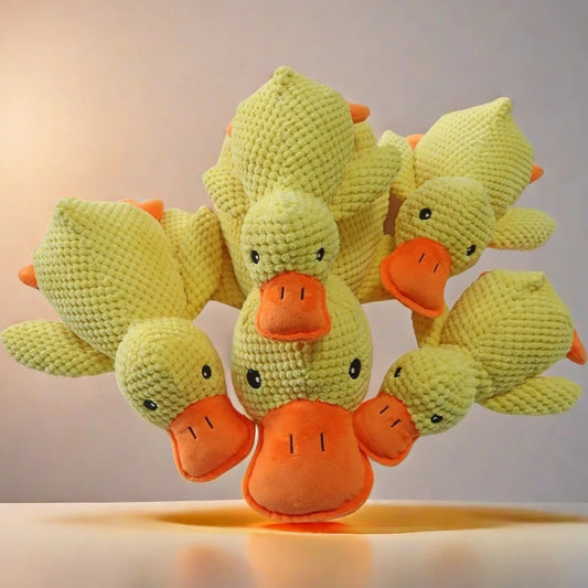 Jouets pour chien poussin