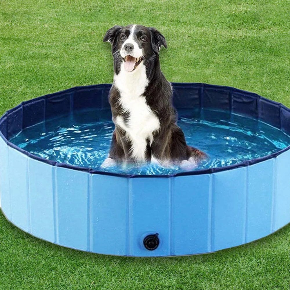 Piscine Pliable pour Chiens et Chats