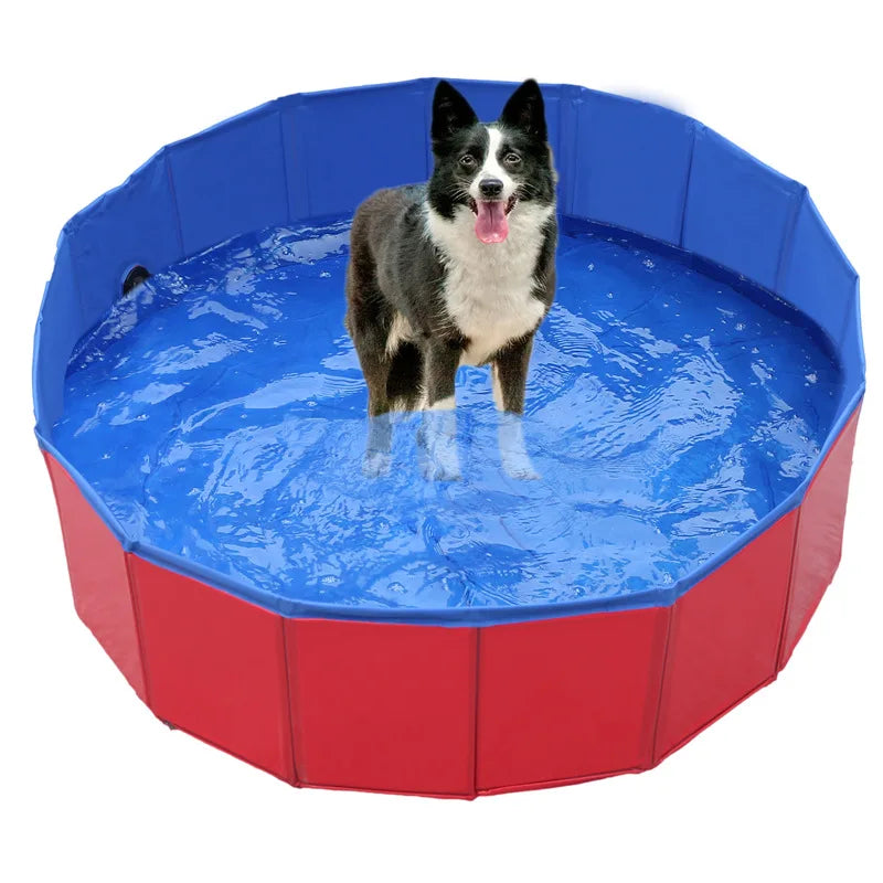 Piscine Pliable Portable pour Chiens et Chats - Rafraîchissement Été et Bain Pratique