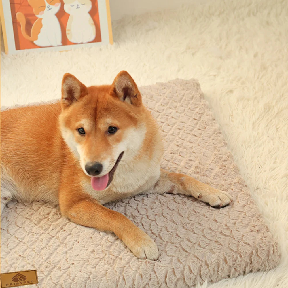 Tapis, moelleux et doux