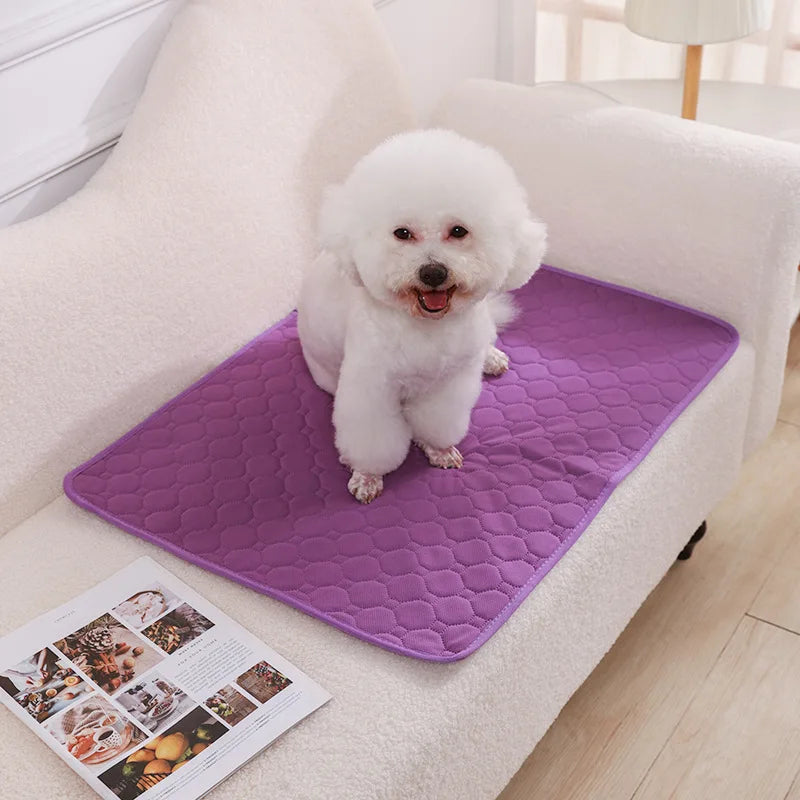 Dog Pee Pad Blanket Reusable Absorbent Diaper Washable Puppy Training Pad Pet Bed Urine Mat for Pet Car Seat Cover Pet Supplies - Miaou Wouf Family