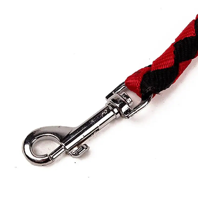 Laisse double attache sécurisé