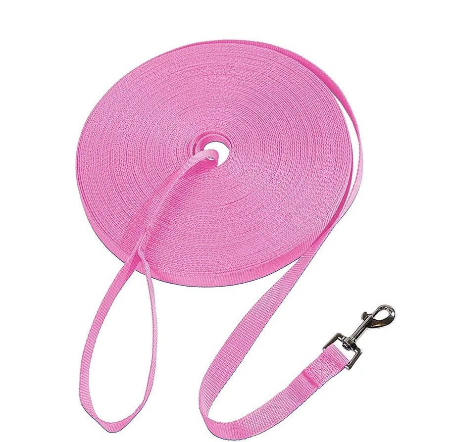 laisse-rose-sangle