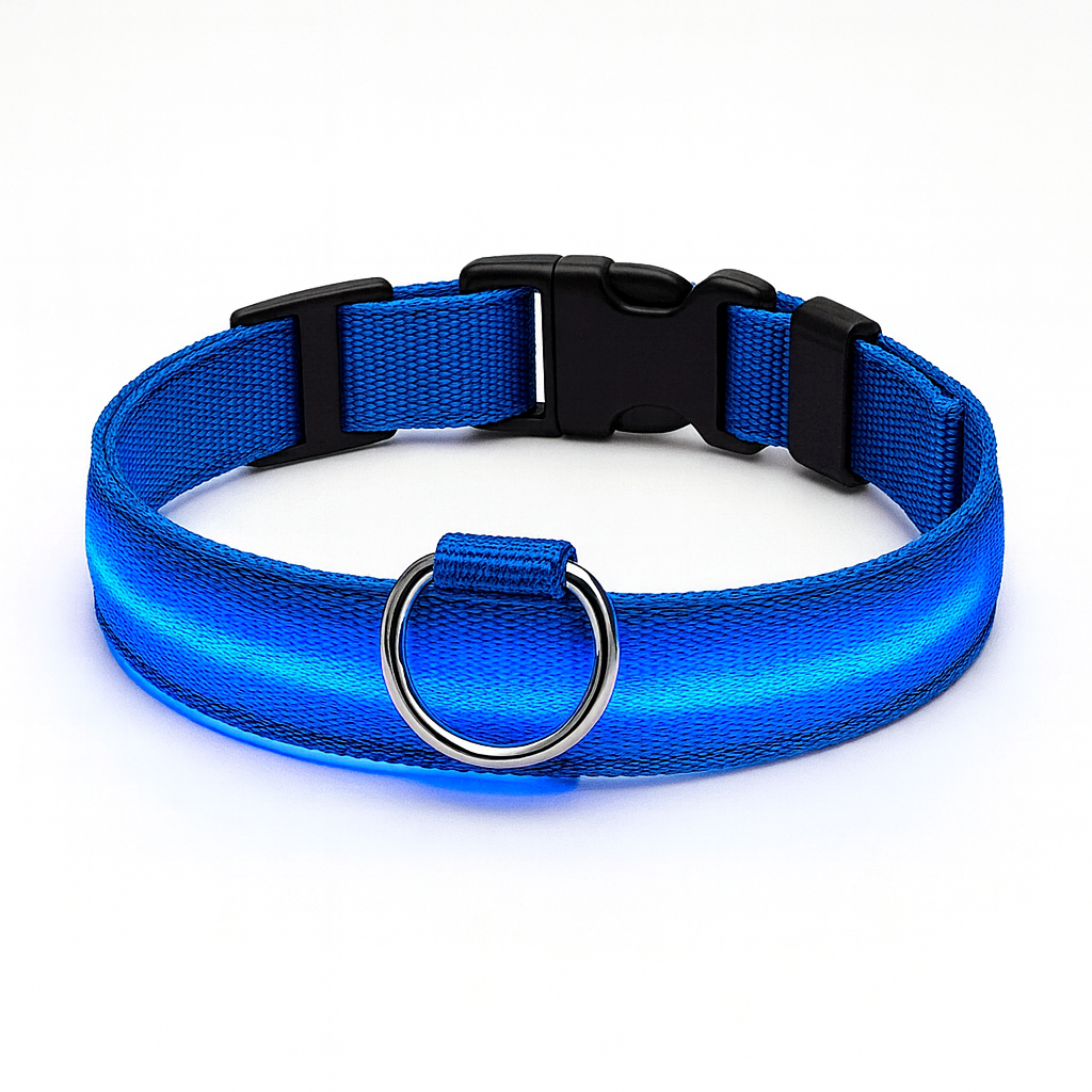 Collier LED lumineux rechargeable