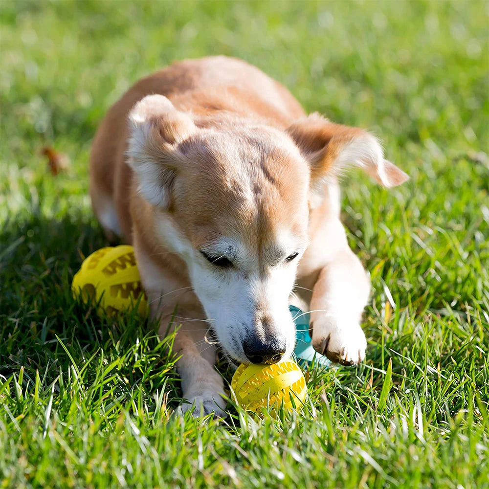 Jouet balle avec rainures cache-friandises pour chien
