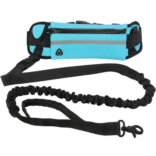 Laisse pour chien main, libre bleu