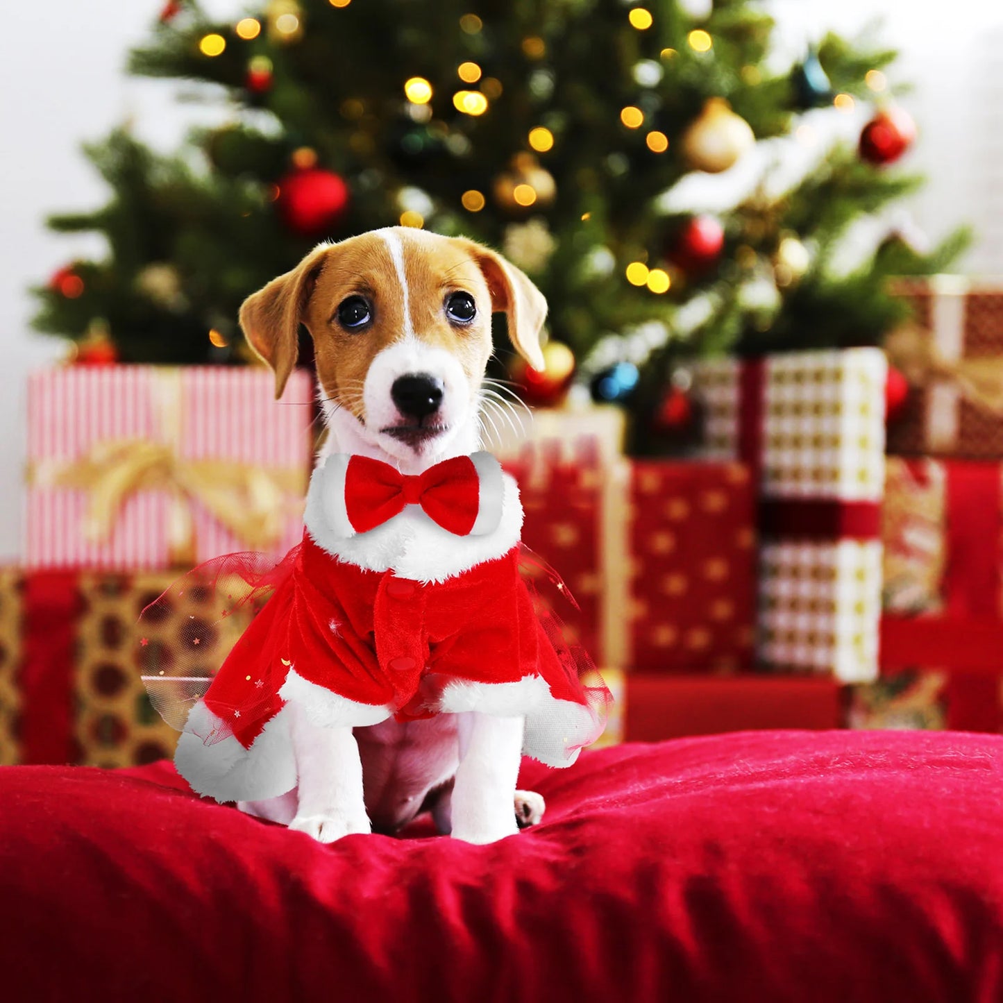 Costume de Noël pour Chien - Robe Père Noël avec Nœud - Déguisement Festif Chaud pour Chiot