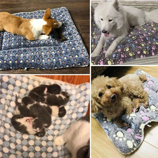 Tapis épais doux - Miaou Wouf Family