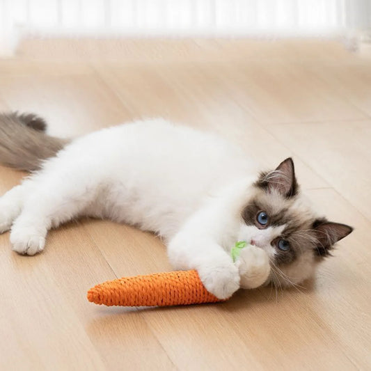 Jouer en carotte pour chat en sisal 