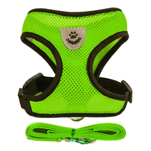 Harnais, respirant vert