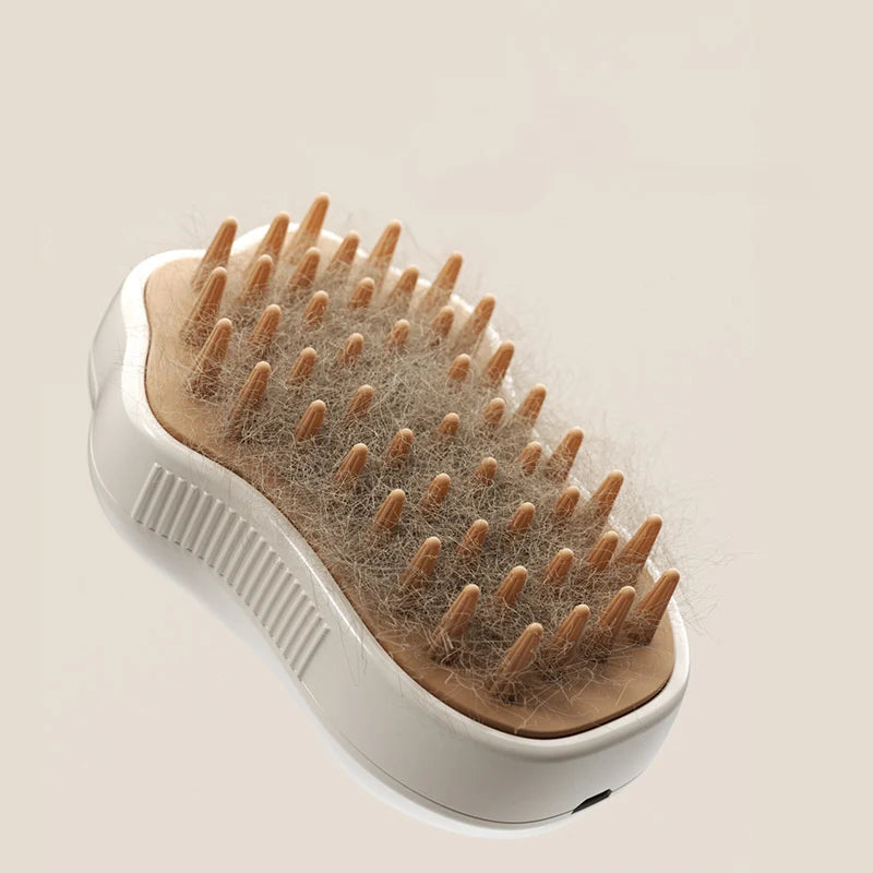 exemple de la brosse a vapeur pattes de chat