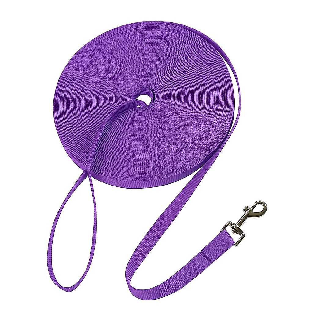 laisse-violet-sangle