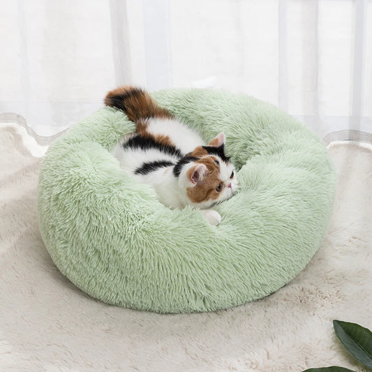 panier vert doux pour chien et chat