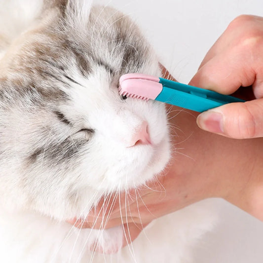 pince pour yeux chien et chat nettoyage