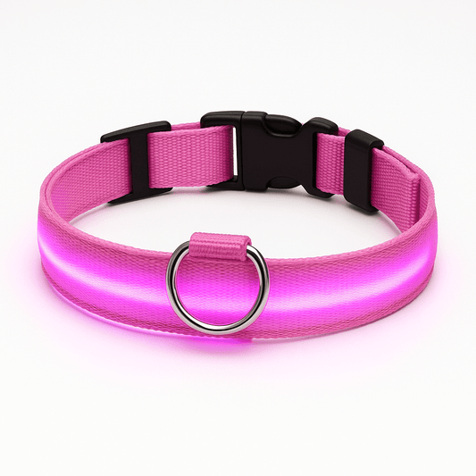 Collier lumineux - Miaou Wouf Family