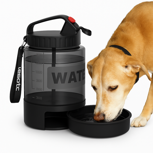 Gourde pour chien 2 en 1 pratique